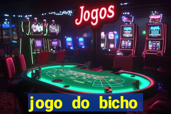 jogo do bicho crash bingo